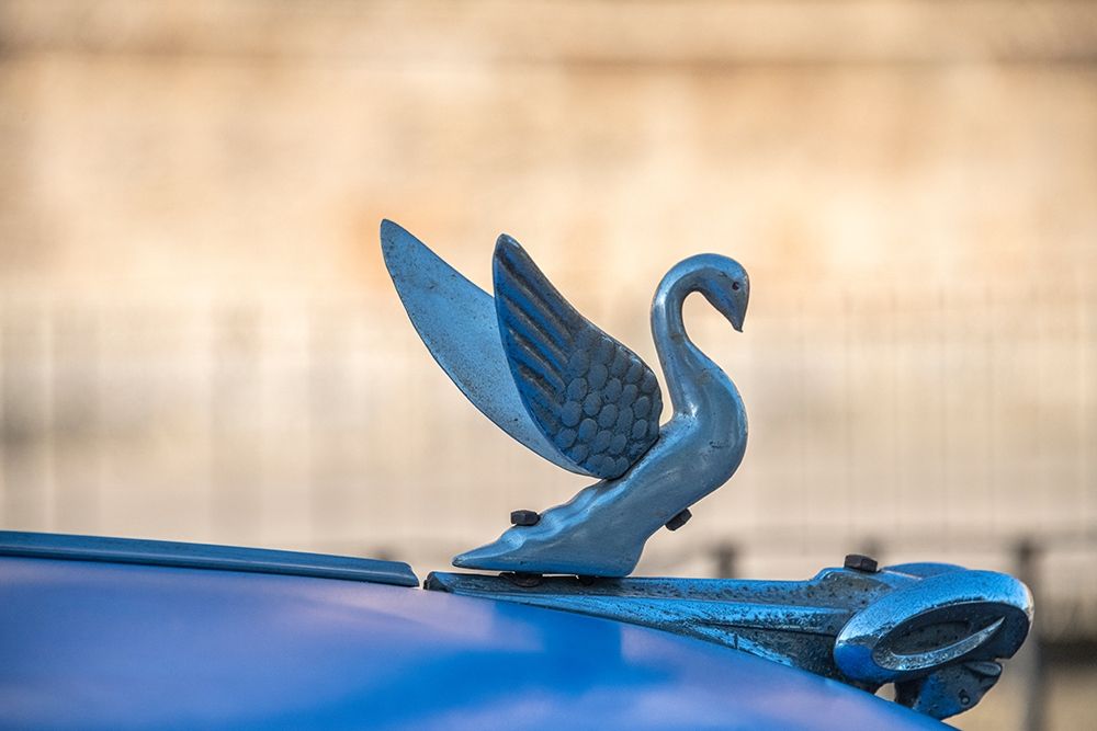 Close-up of a swan hood ornament on a classic blue American car in Vieja-old Habana-Havana-Cuba art print by Janis Miglavs for $57.95 CAD